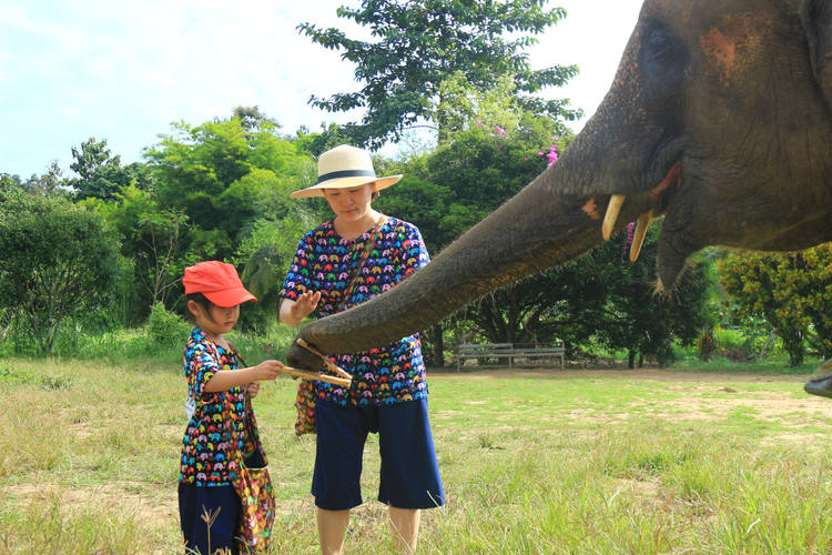 Santuario degli Elefanti