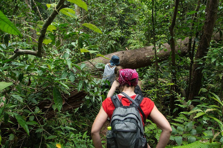 trekking nella giungla