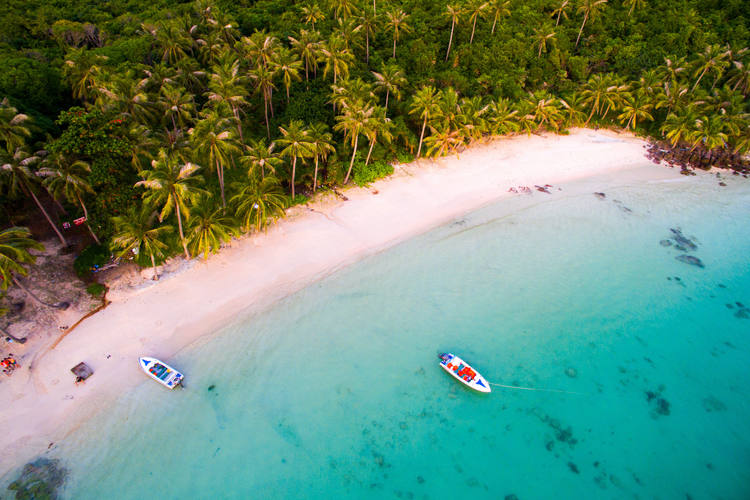 Involtini Primavera di Vietnam