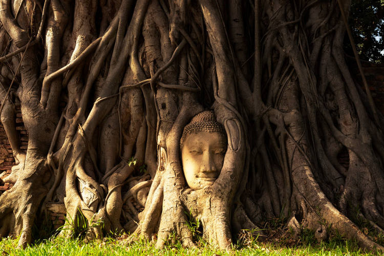 Ayutthaya Historical Park