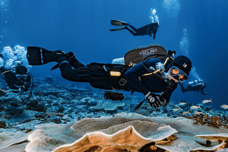 Immersioni Koh Samui