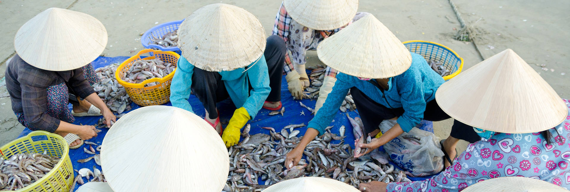 Il meglio del Vietnam e Delta del Mekong